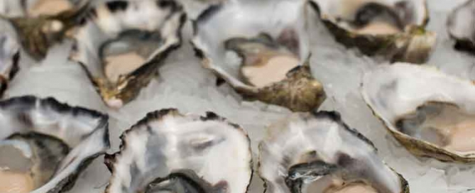 Oysters - sexy food and aids conception