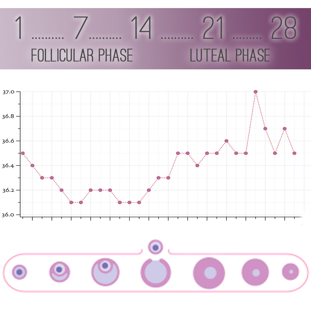 BBT: how to track your basal body temperature - NowBaby.co.uk
