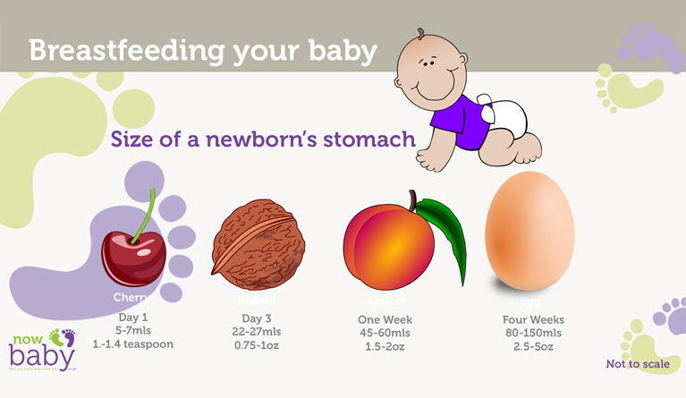 Breastfeeding your baby - size of your newborn's stomach