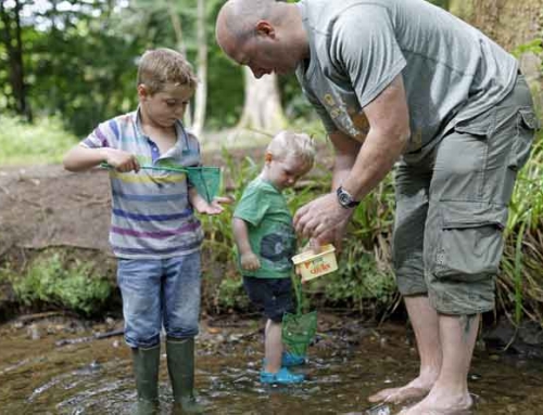 Top spots for walking this summer with the National Trust